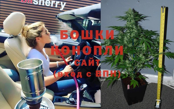 амф Надым