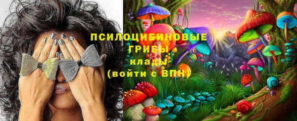сатива Абинск