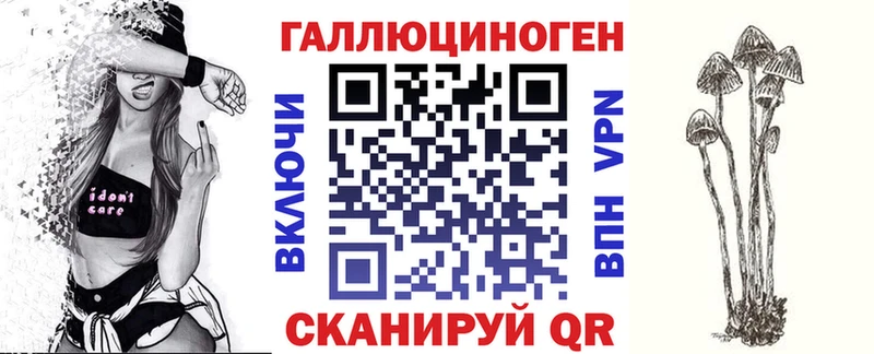 как найти   Сусуман  Псилоцибиновые грибы ЛСД 